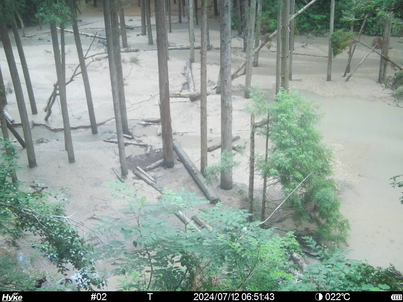 町野川流域情報